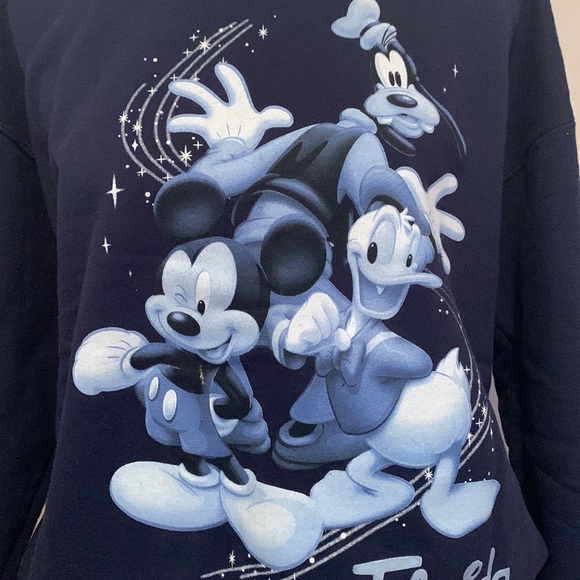 Disney World: Florida Gildan Large Navy Long Sleeve Character Sweatshirt - Picture 6 of 10